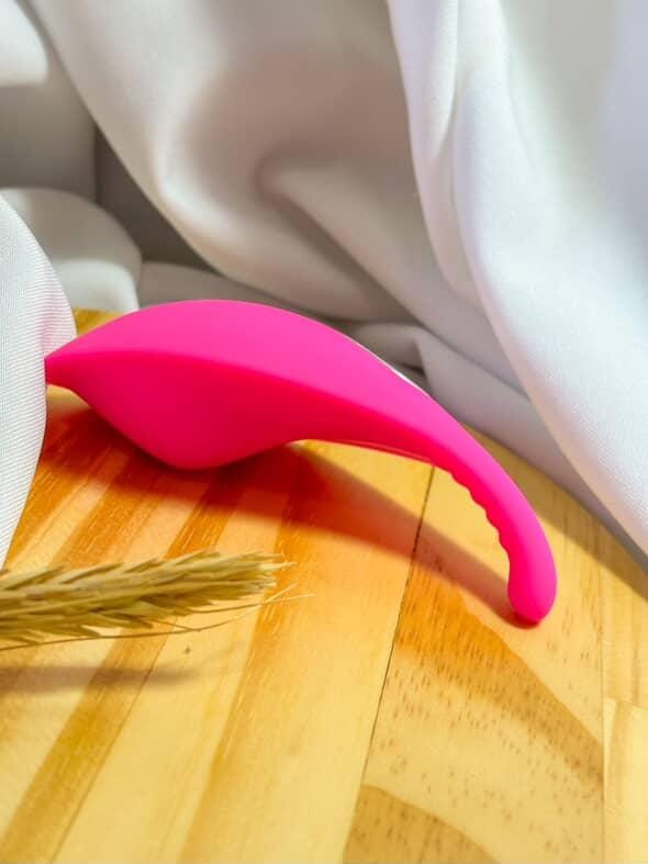 Vibrador de calcinha